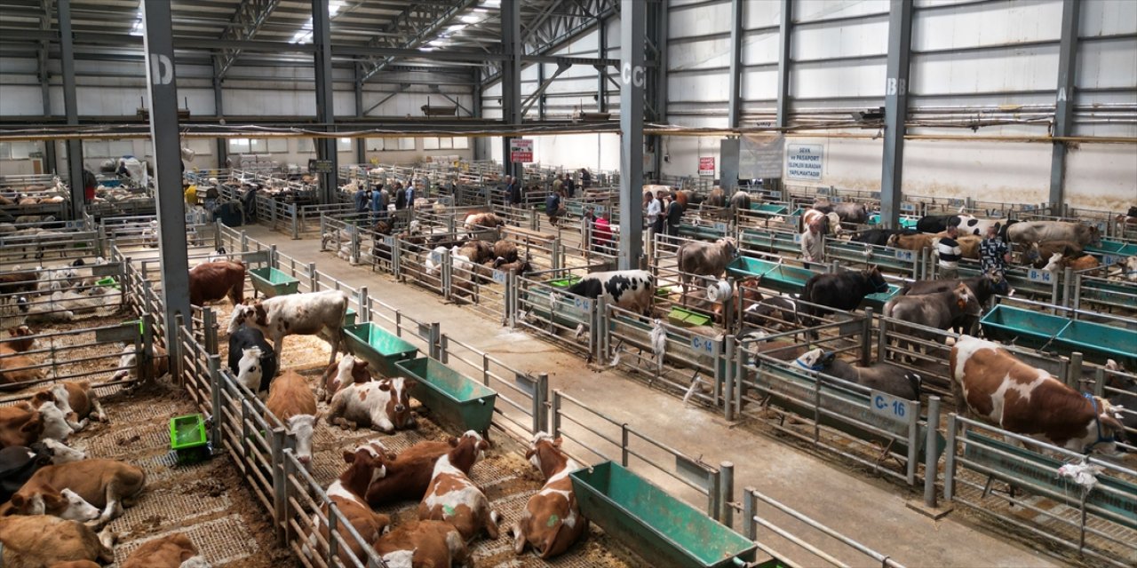 Erzurum Doğu Anadolu Canlı Hayvan Borsası 5 yılda 2 milyon ziyaretçi ağırladı.