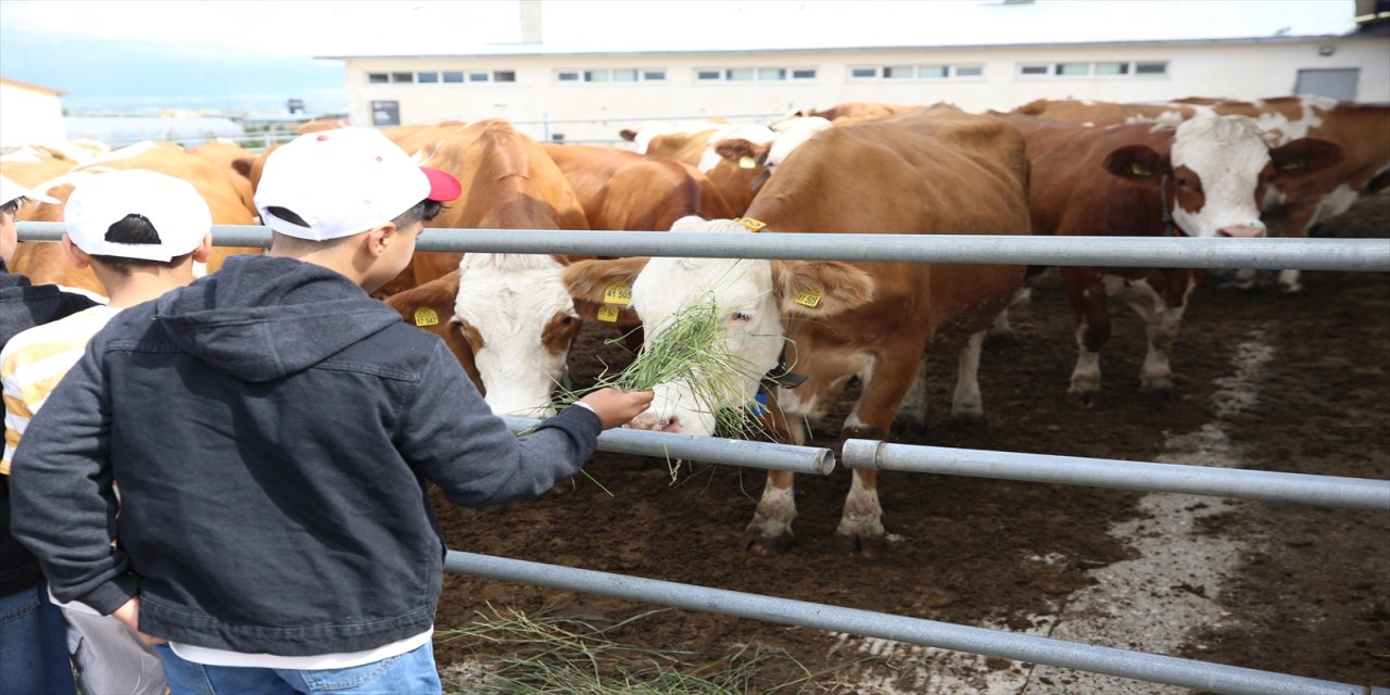Erzurum’da koruma altındaki çocuklara süt ürünlerinin üretimi gösterildi.