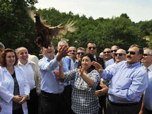 Artık Keneler Kaçsın