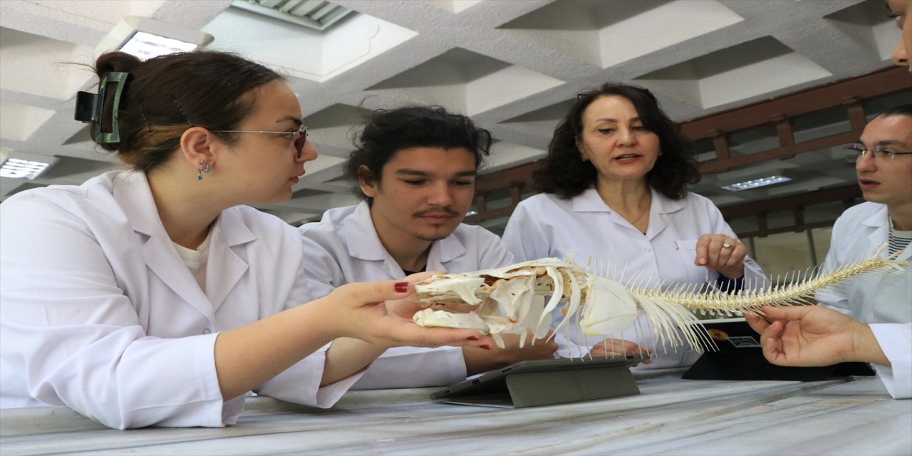 FÜ’lü Veteriner Öğrencilerinden Yapay Zekalı Mobil Uygulama: 130 İskelet ve 70 Tahnit Dijitale Aktarılıyor