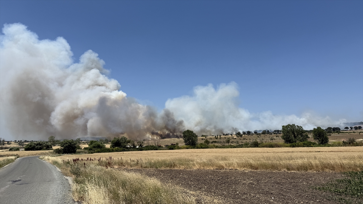 Çanakkale'de tarım arazisinde çıkan yangın söndürüldü
