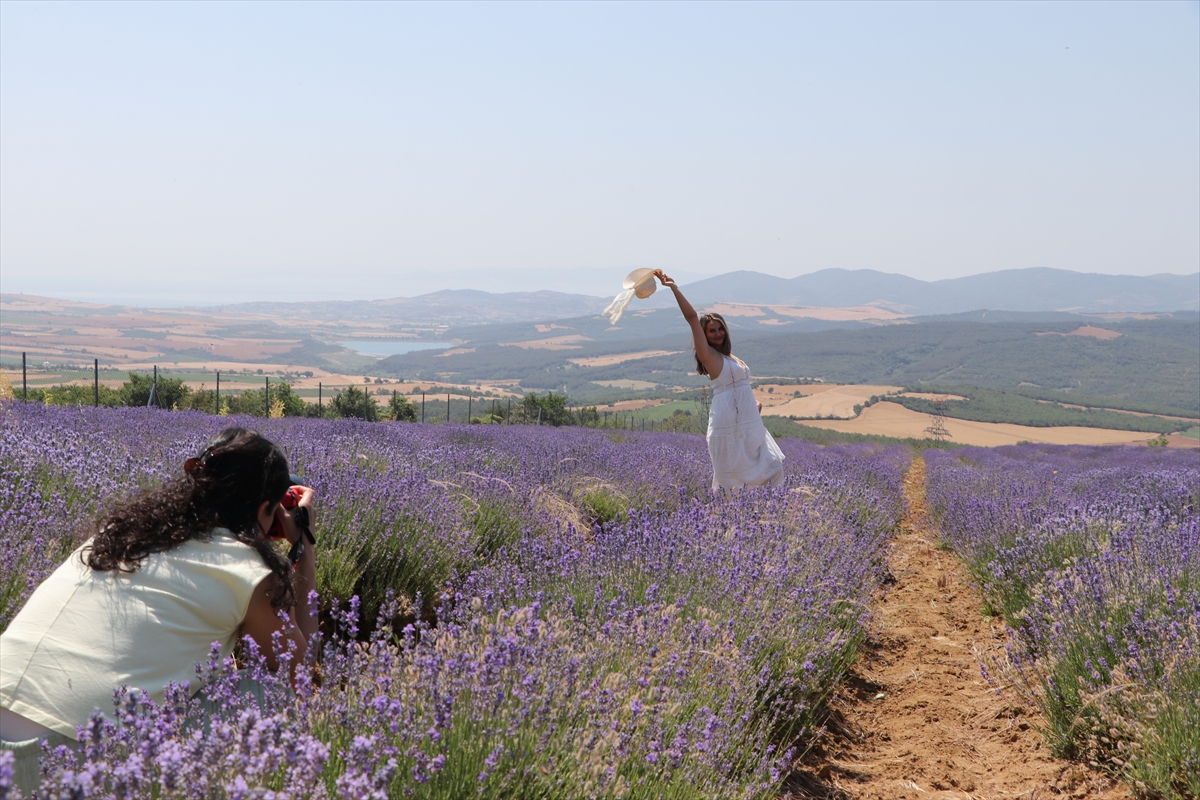 Tekirdağ'da lavanta tarlaları fotoğraf tutkunlarını ağırlıyor