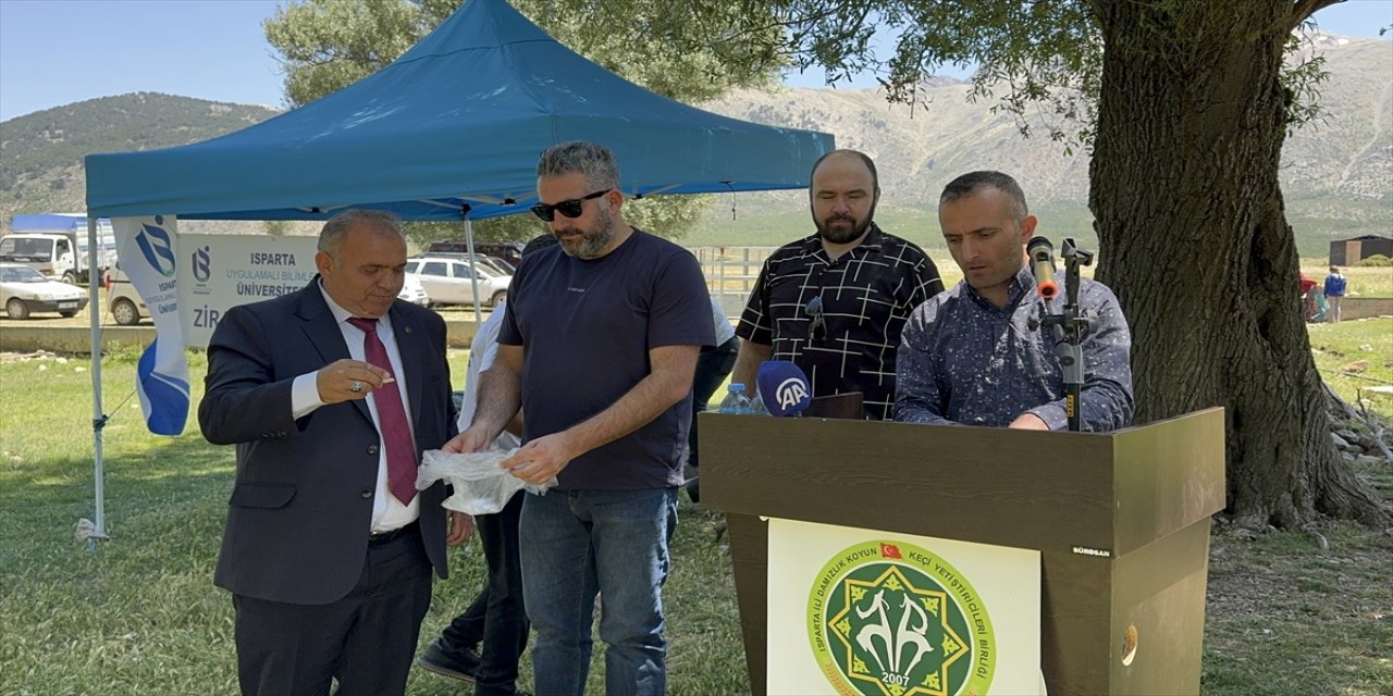 Isparta’da Sürüleri Korumak İçin Anadolu Çoban Köpekleri Dağıtıldı