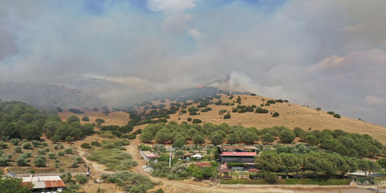 Aydın Efeler’de ziraat alanı ve makilikte çıkan yangın yerleşim yerlerine yaklaştı