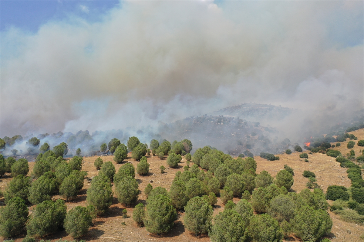 Aydın'da ziraat alanı ve makilikte çıkan yangın kontrol altına alındı
