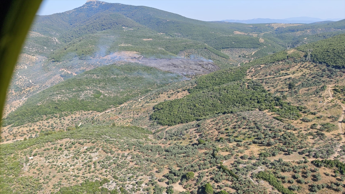 İzmir'in Torbalı ilçesinde çıkan orman yangınına müdahale ediliyor