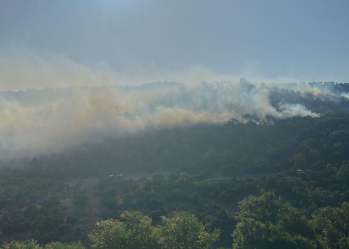 Balıkesir'de çıkan orman yangını kontrol altına alındı
