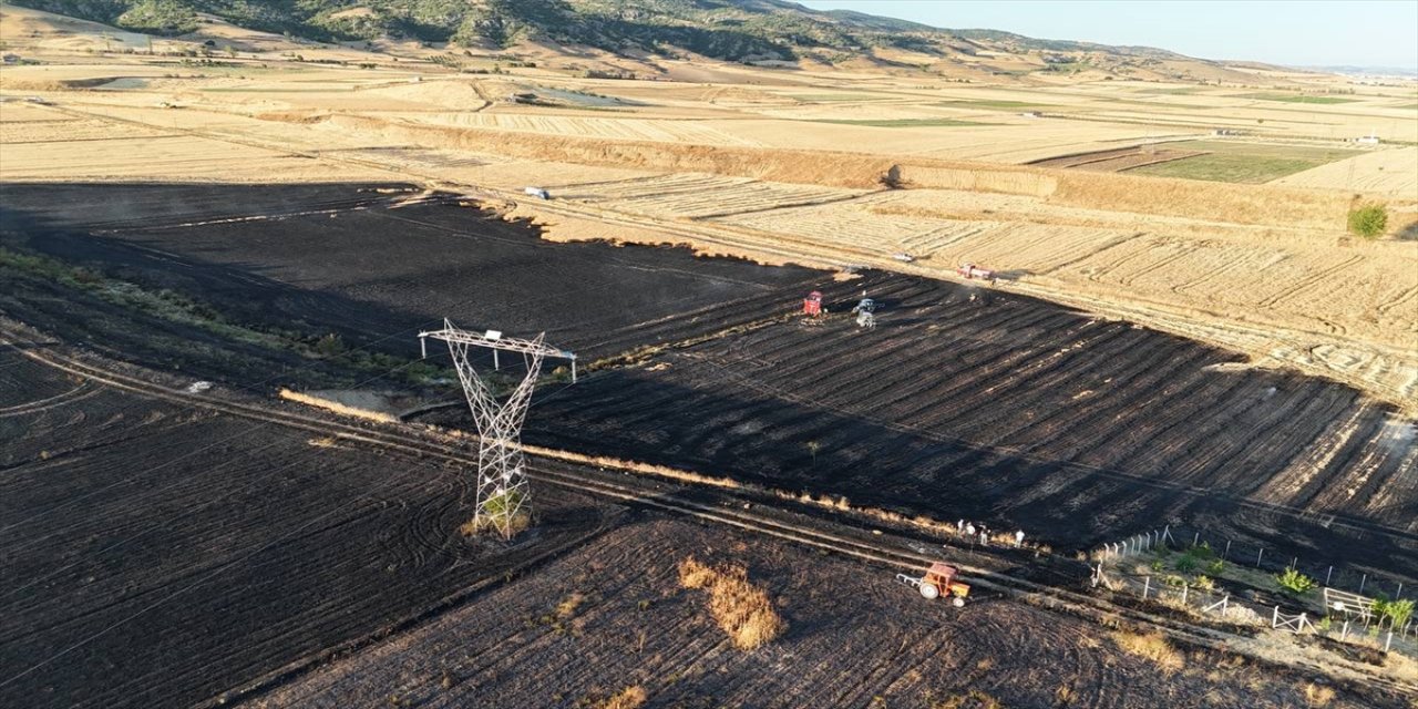 Amasya Merzifon’da tarla yangını: 80 dönüm arazi kül oldu