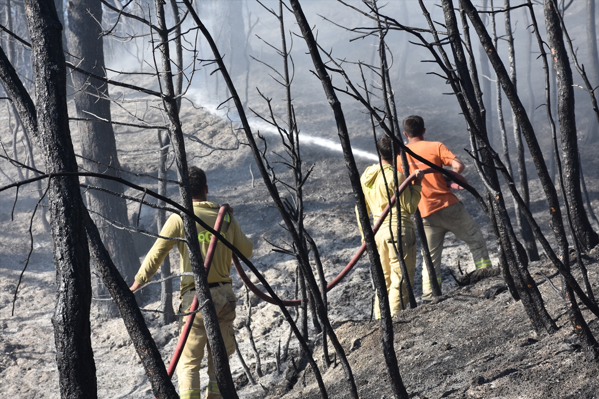 İzmir'in Kemalpaşa ilçesinde çıkan orman yangını söndürüldü