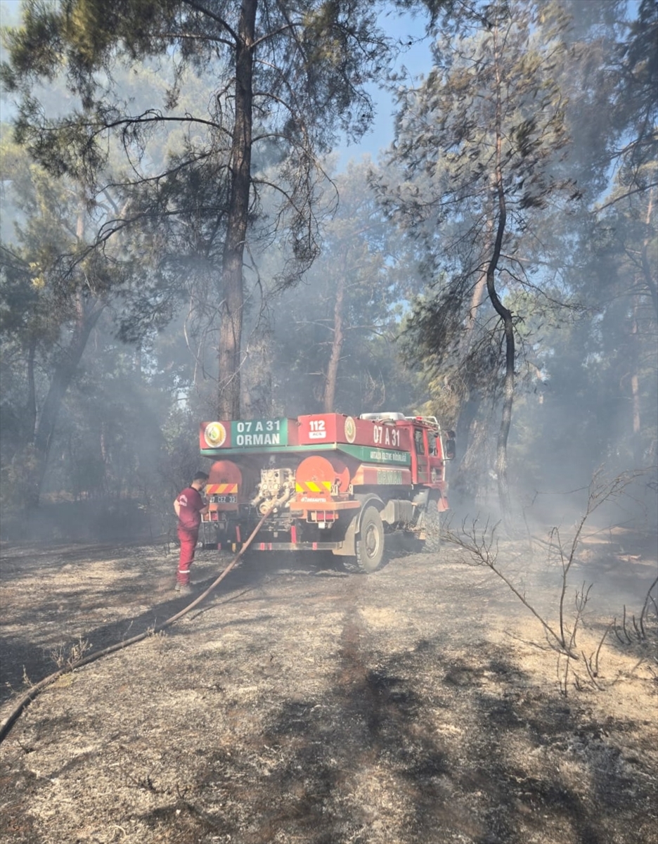 Antalya'da iki bölgede orman yangını çıktı