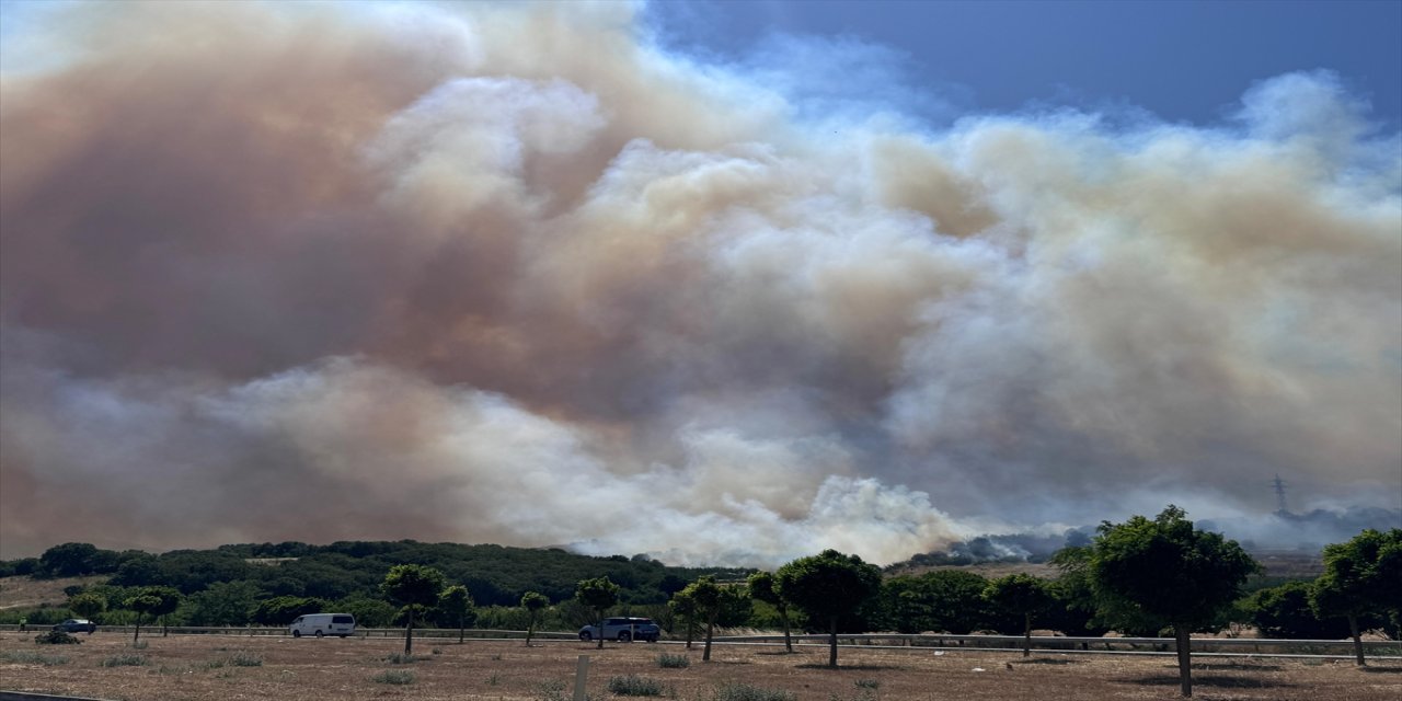 Bursa Yenişehir’de orman yangını: Ekipler havadan ve karadan alevleri kontrol altına almaya çalışıyor