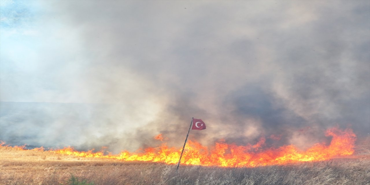 Edirne Lalapaşa'da balya römorkundaki yangın tarım arazilerine sıçradı, 400 dekar zarar gördü.