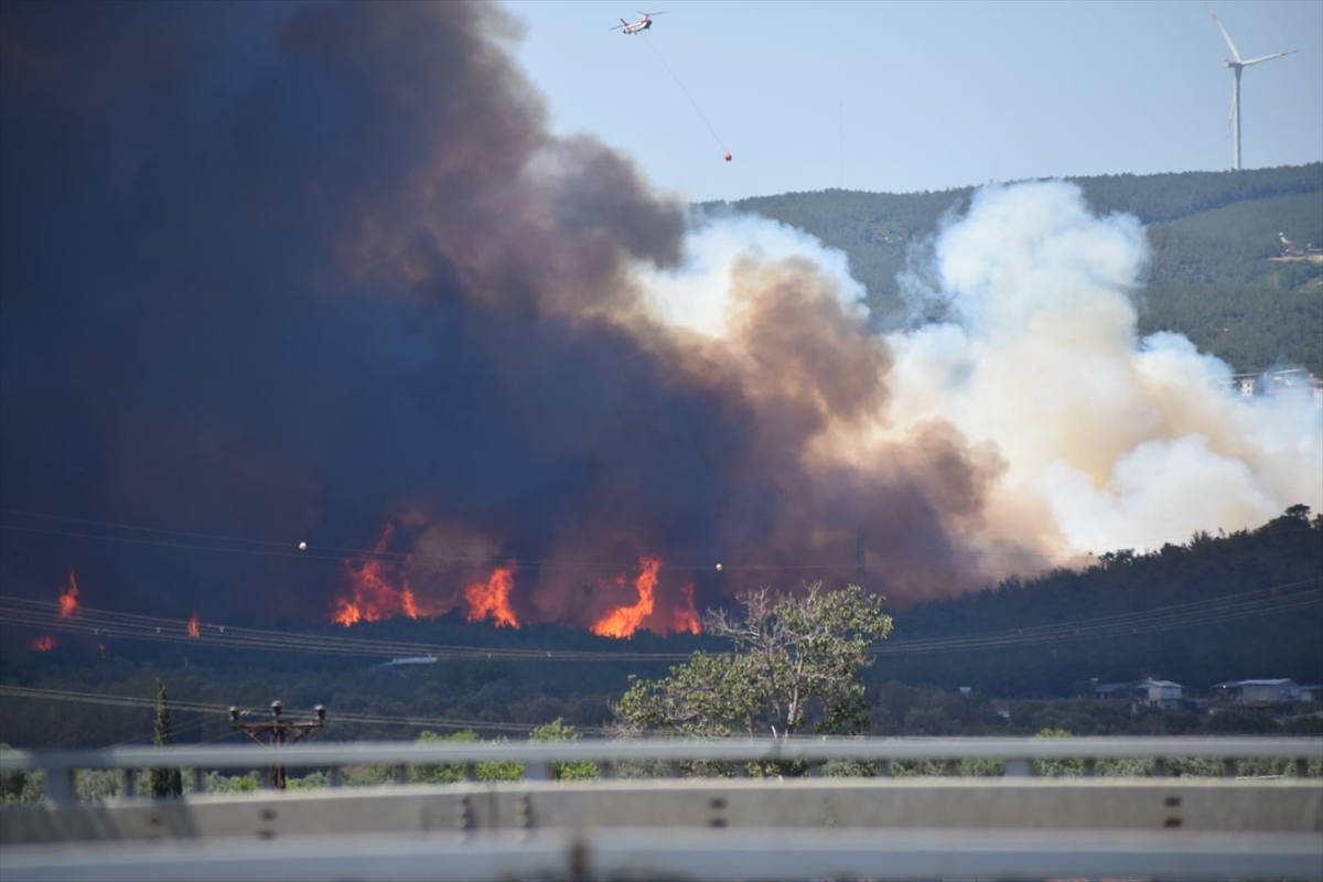 İzmir Bornova'da tarım arazisinde başlayan yangın ormana sıçradı