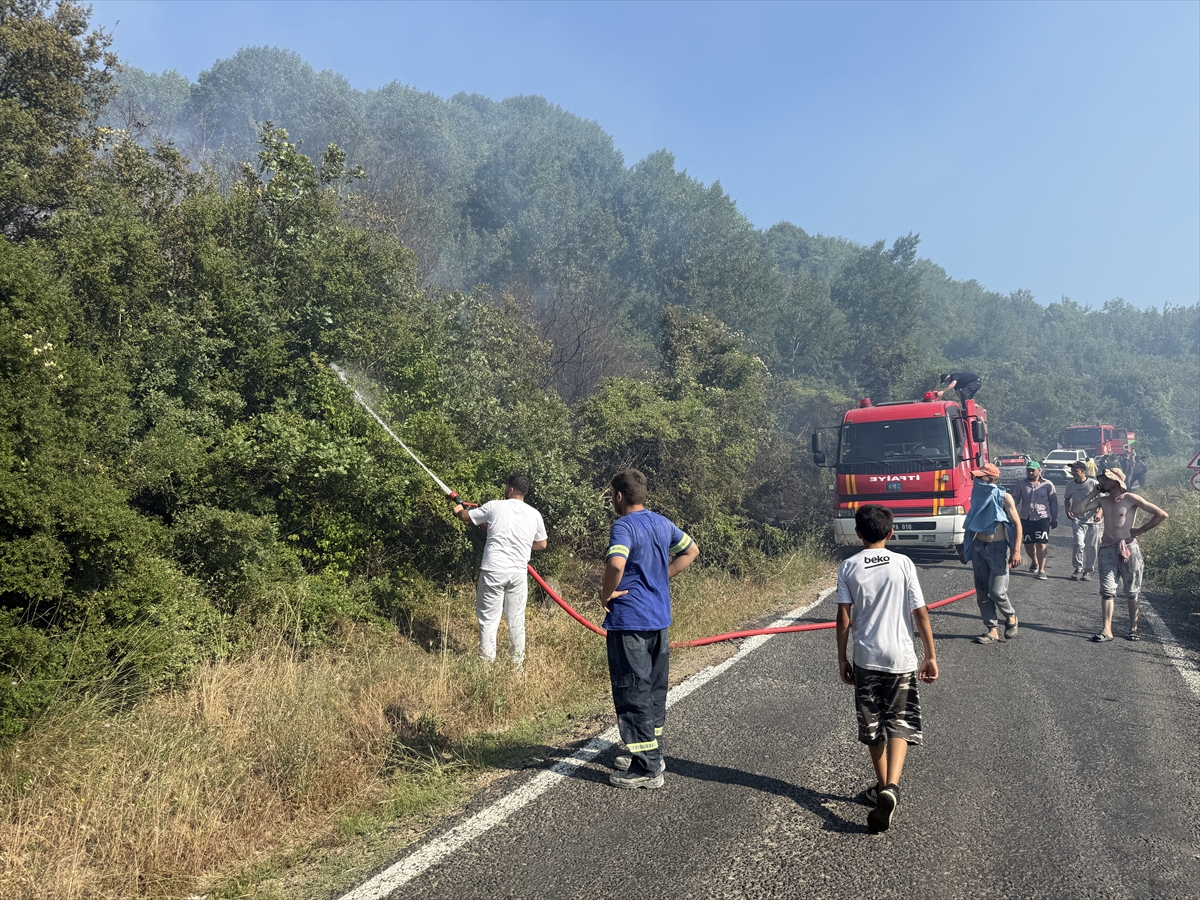 Tekirdağ'da makilik alana sıçrayan yangın söndürüldü