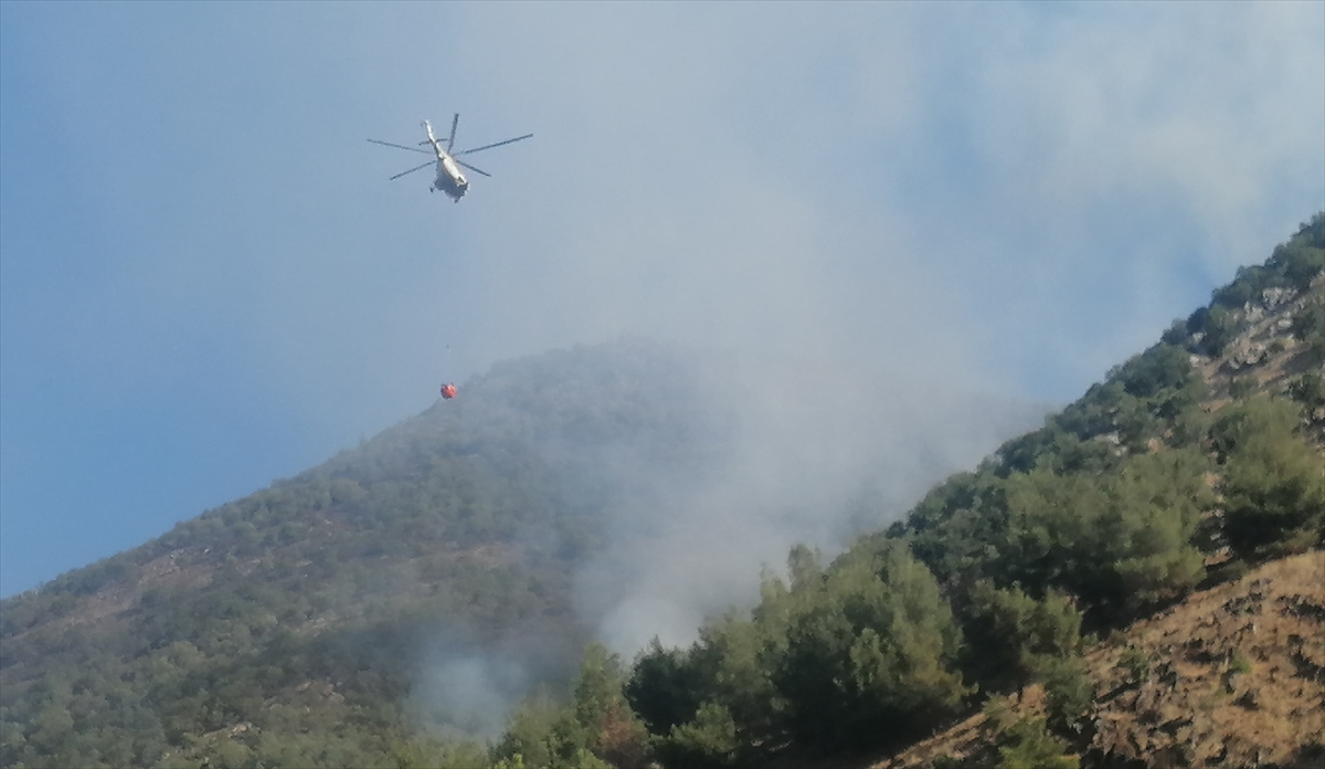 Kahramanmaraş'ta çıkan orman yangınını söndürme çalışmaları sürüyor