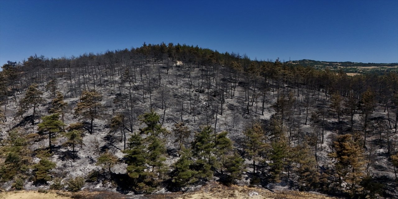 Sakarya-Bilecik Sınırındaki Orman Yangını 26 Saattir Sürüyor: 700 Personel ve 11 Helikopterle Müdahale