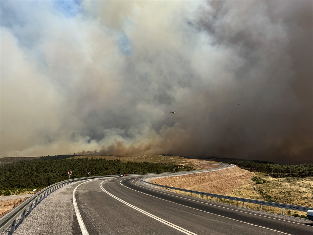 Manisa'nın Akhisar ilçesinde orman yangını çıktı
