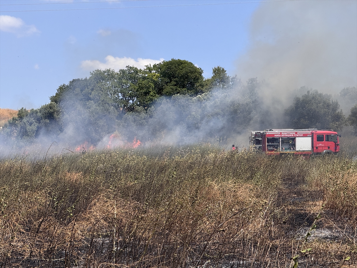 Bursa'da tarladan zeytinliğe sıçrayan yangın söndürüldü
