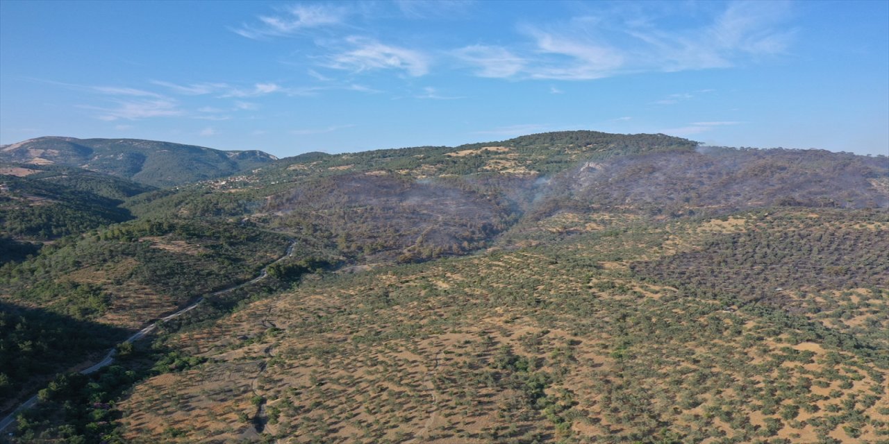 Balıkesir’de 7 ayrı yangın: 4’ü kontrol altına alındı, 4 kişi gözaltında
