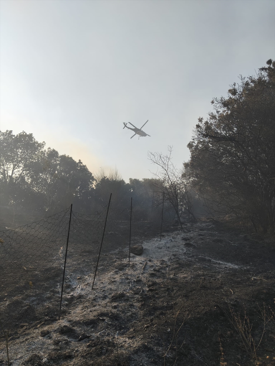 Aydın'ın Bozdoğan ilçesindeki yangın kontrol altına alındı