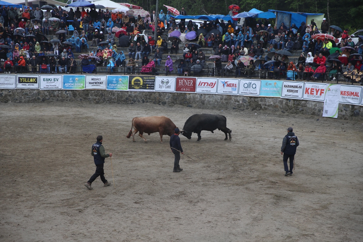 Rize'de "29. Çamlıhemşin Ayder Kültür, Sanat ve Doğa Festivali" sona erdi