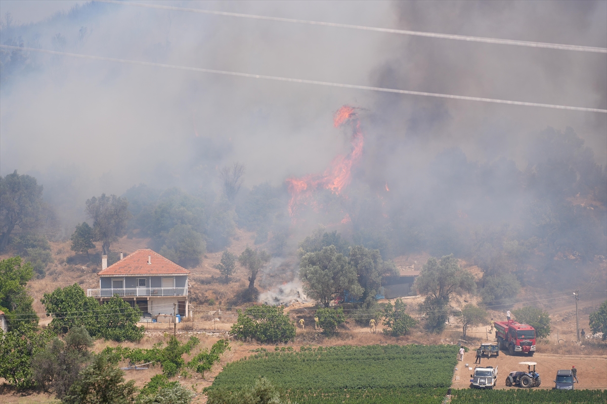 İzmir'in Menderes ve Seferihisar ilçeleri arasında orman yangını çıktı