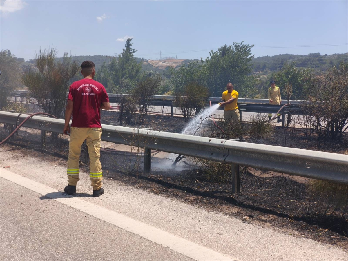 İzmir'de zeytinlik alandan çıkan yangın kontrol altına alındı
