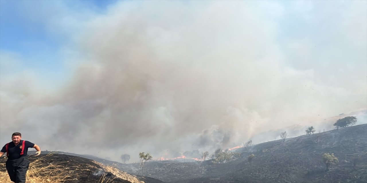 Gelibolu’da çıkan yangında 100 dönüm buğday ve 150 dönüm makilik alan zarar gördü