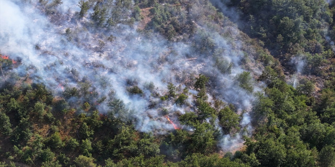 Sakarya-Bilecik sınırındaki orman yangını büyük oranda kontrol altına alındı