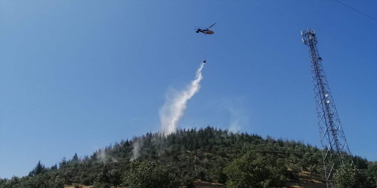 Kahramanmaraş Türkoğlu'nda orman yangını kısa sürede söndürüldü: 2 hektar alan zarar gördü