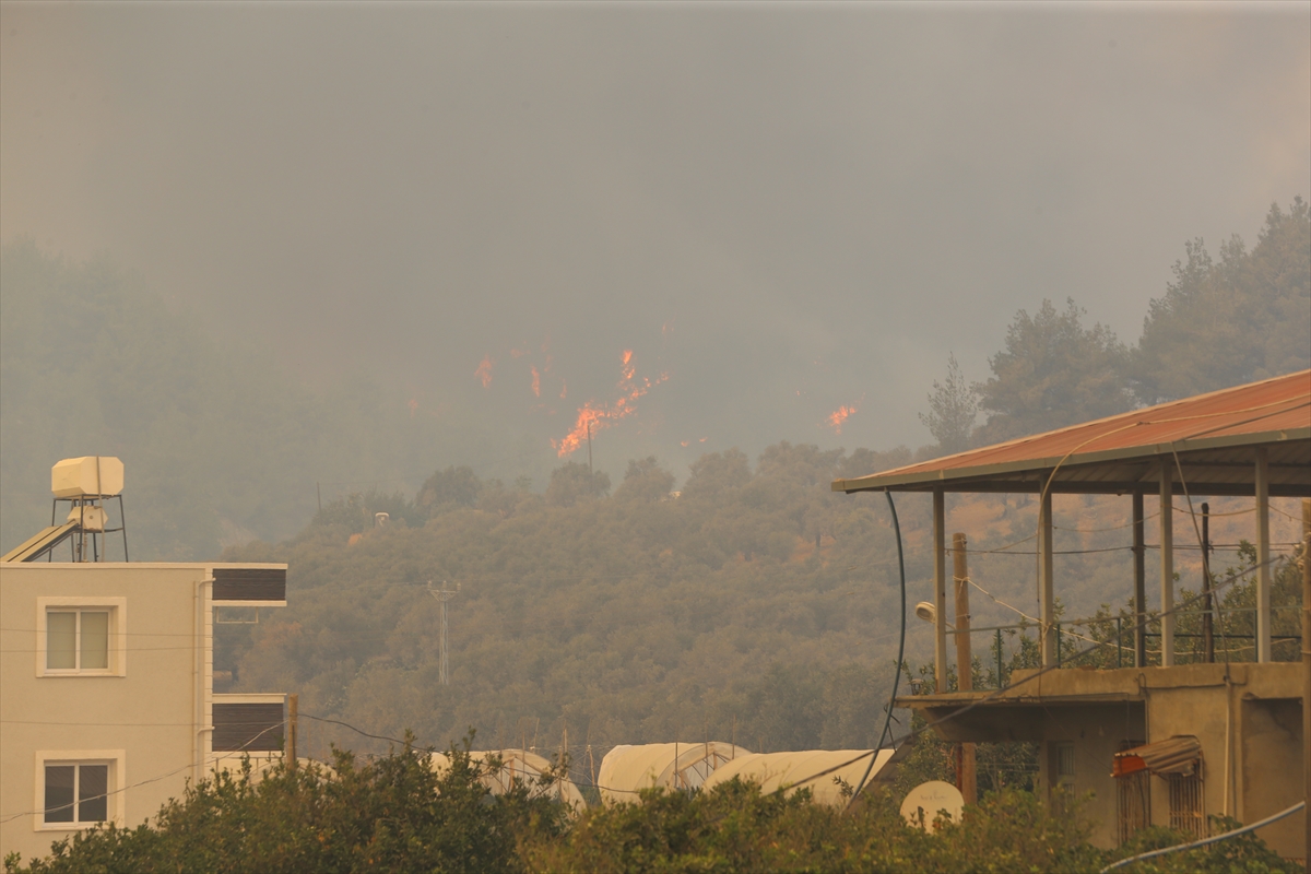 Hatay'da ormanlık alanda yangın çıktı