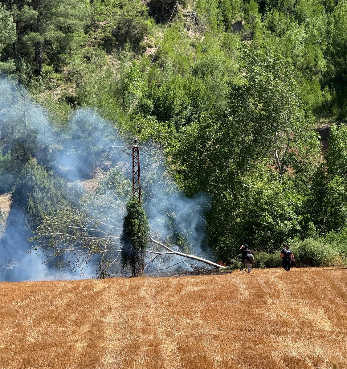 Adana'nın Kozan ilçesinde orman yangını çıktı