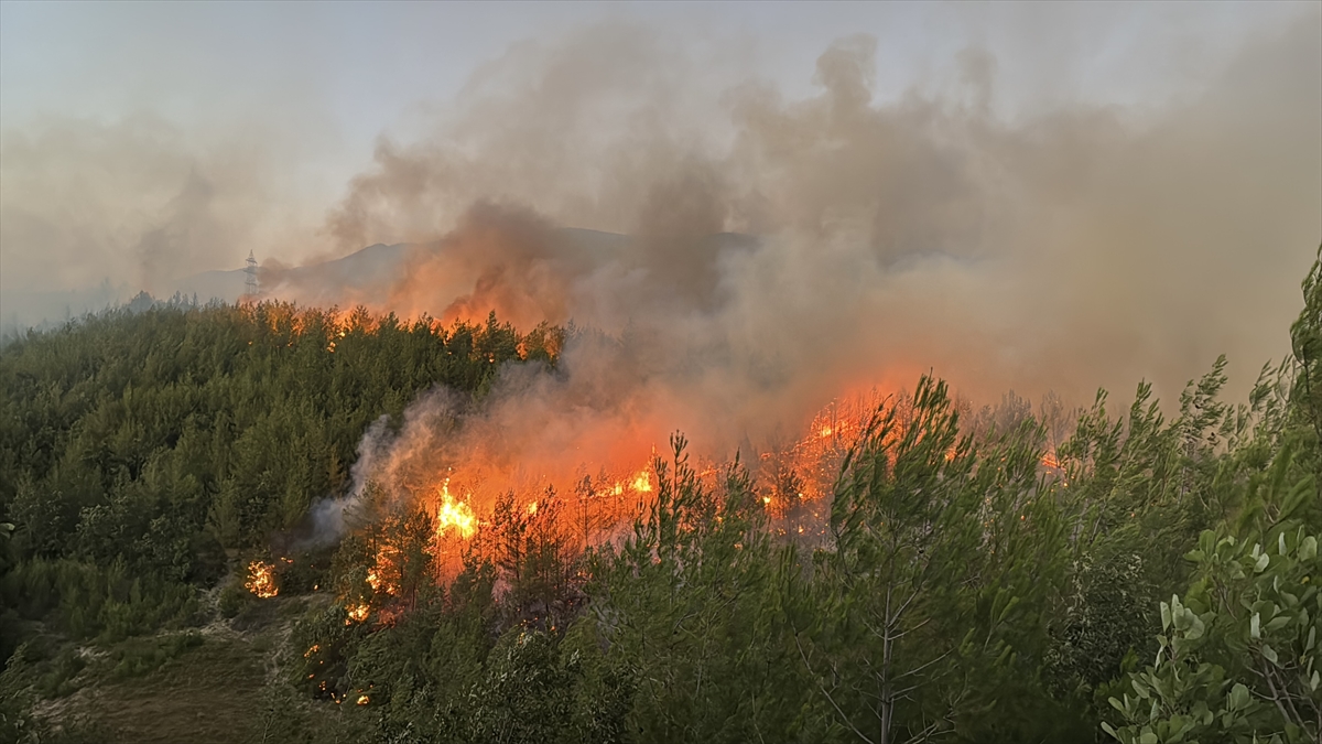 Adana'da çıkan orman yangını kontrol altına alındı