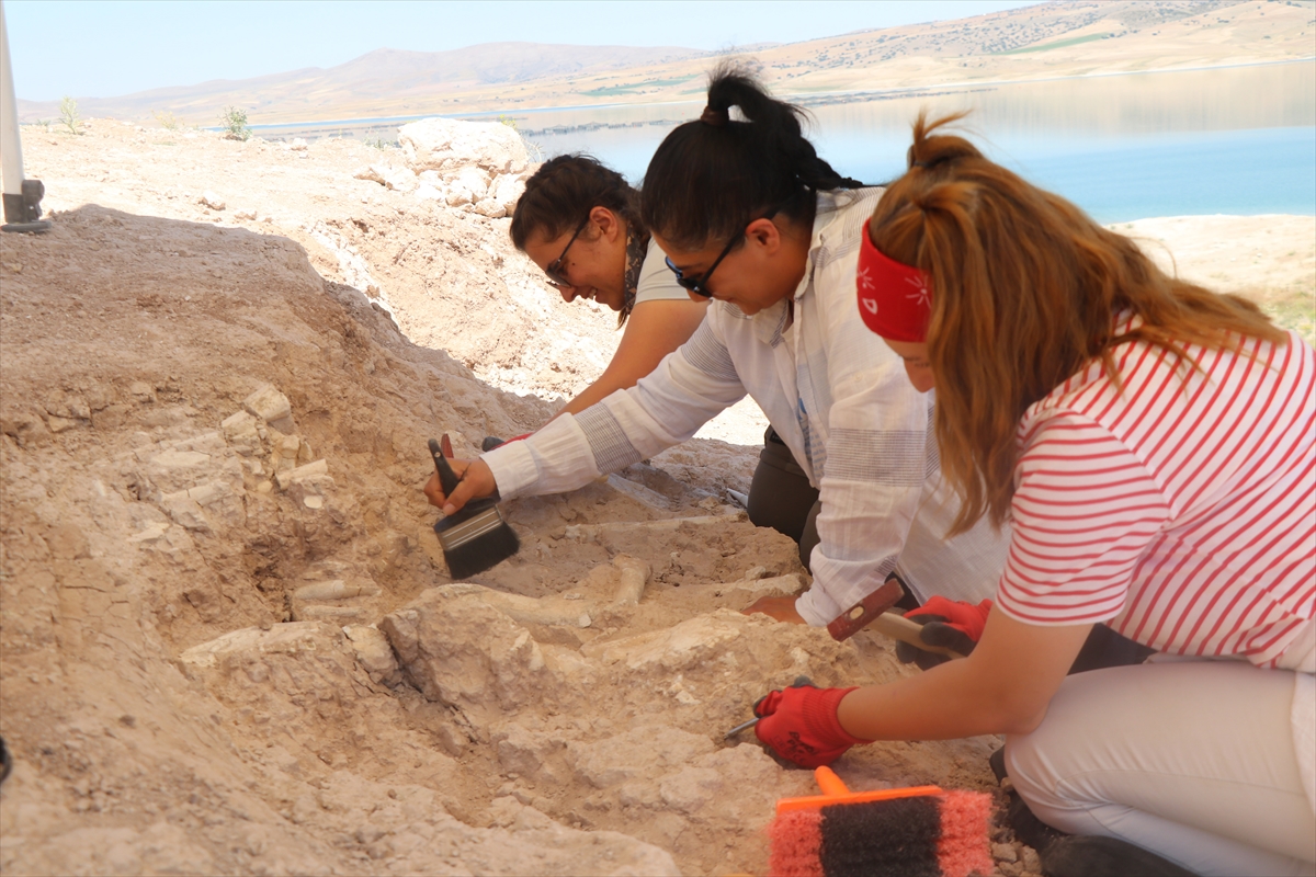 Keçi çobanının keşfettiği fosil alanı 7,7 milyon yıla tarihlendirildi