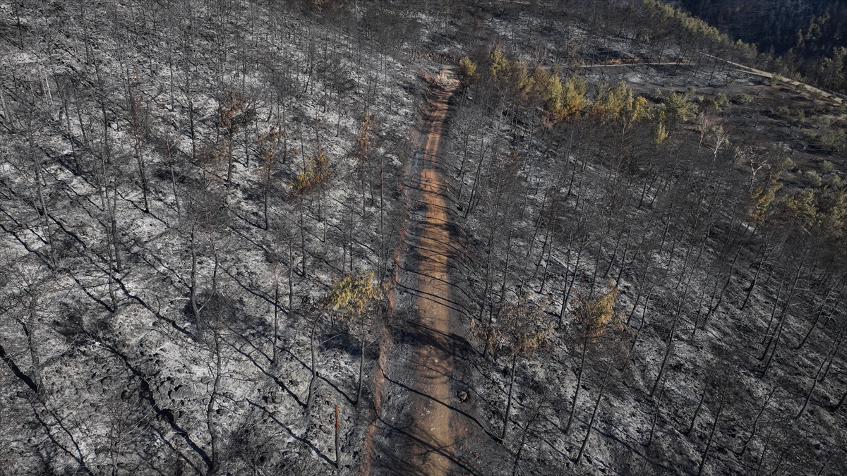 Hatay'daki orman yangınında zarar gören alanlar dronla görüntülendi