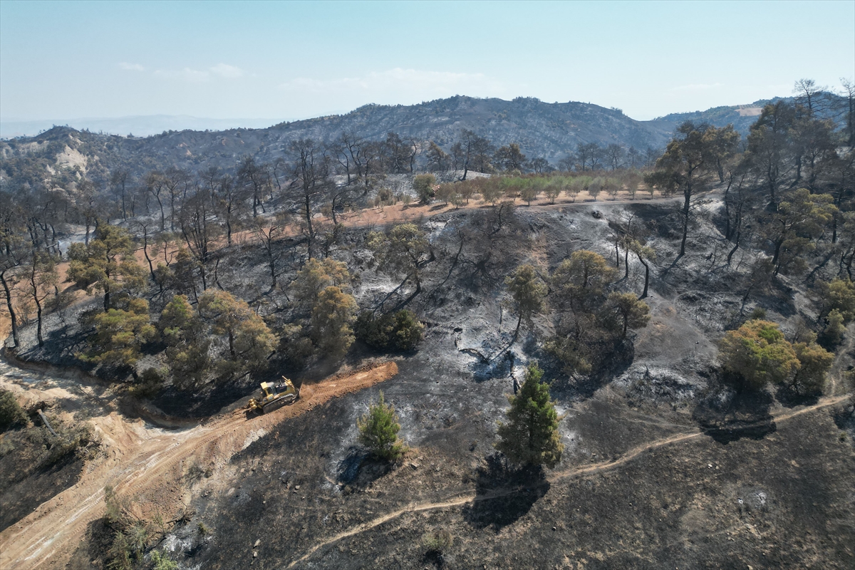 Manisa'daki orman yangınlarında zarar gören alanlar dronla görüntülendi