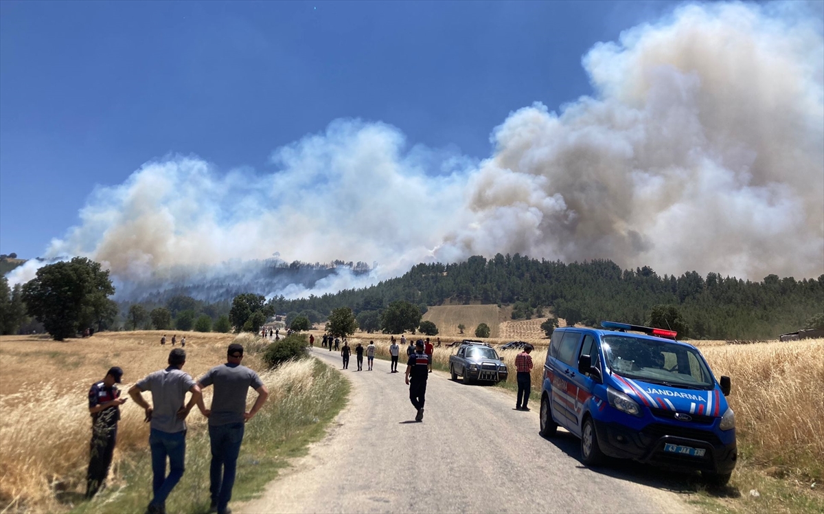 Gediz'de ormanlık alanda çıkan yangına müdahale ediliyor