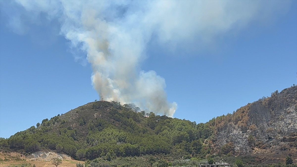Gazipaşa'da çıkan orman yangını söndürüldü