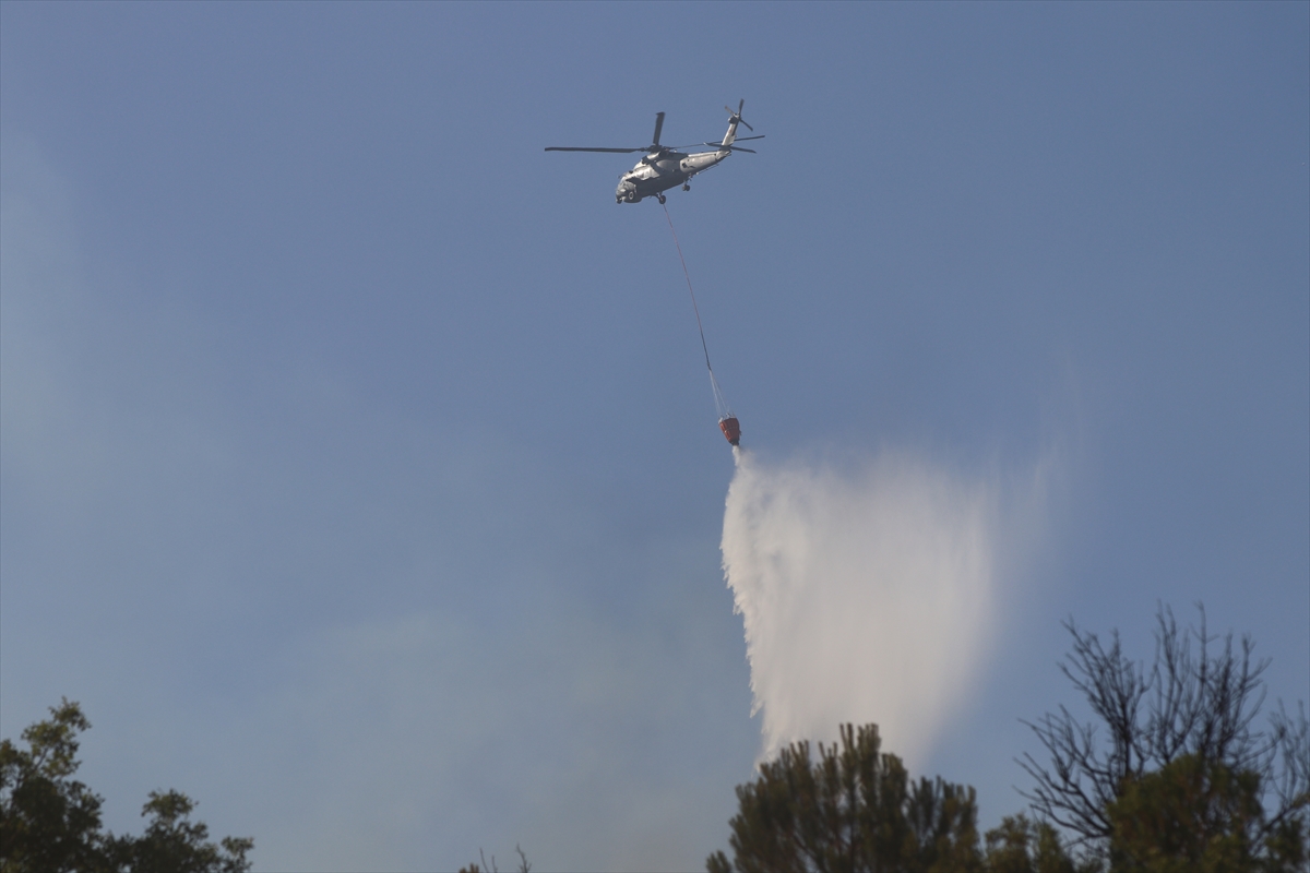 Kocaeli'de çıkan orman yangını kontrol altında
