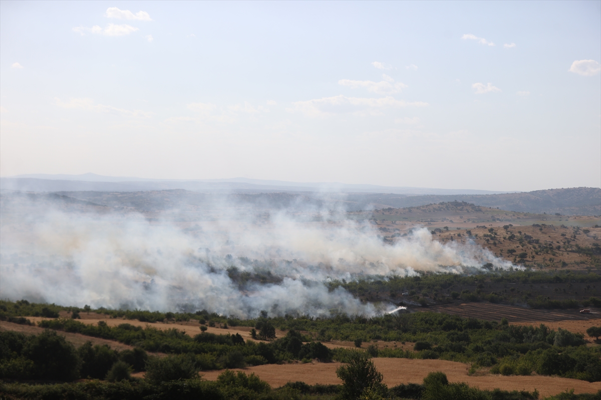 Kırklareli'nde tarım arazisinden ağaçlık alana sıçrayan yangın söndürüldü
