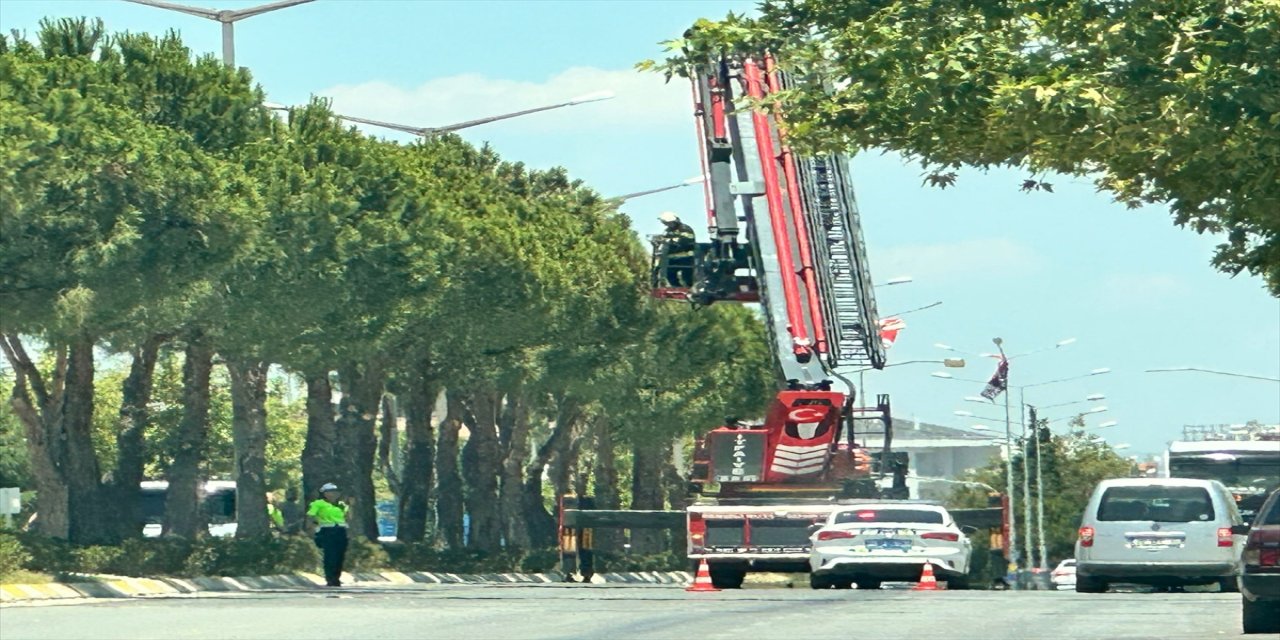 Denizli’de köpekten kaçan kedi yavrusu 1 saatlik çalışma sonrası itfaiye tarafından kurtarıldı