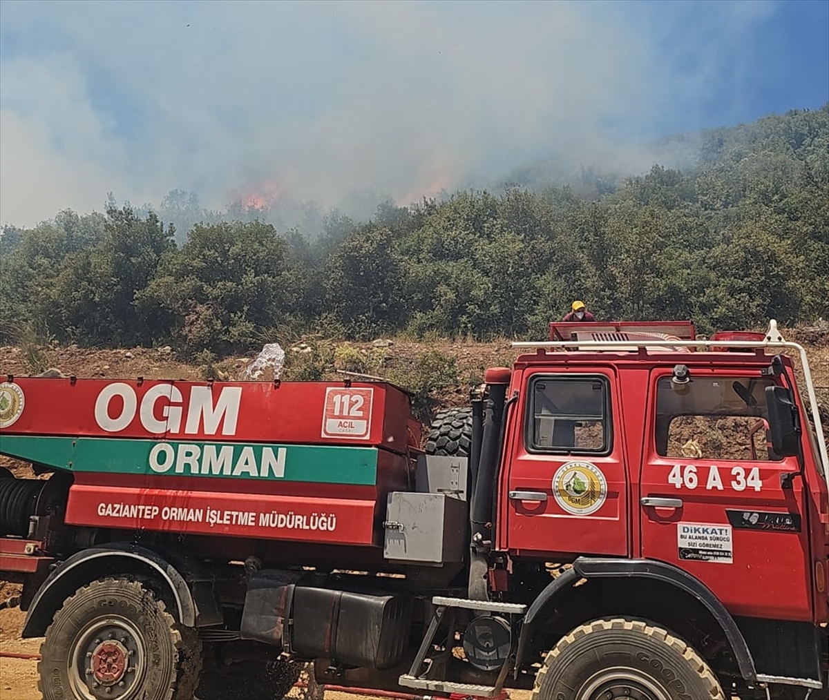 Gaziantep'te çıkan orman yangını kontrol altına alındı