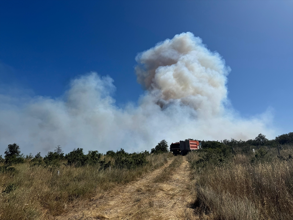 Silivri'de ormanlık alanda yangın çıktı