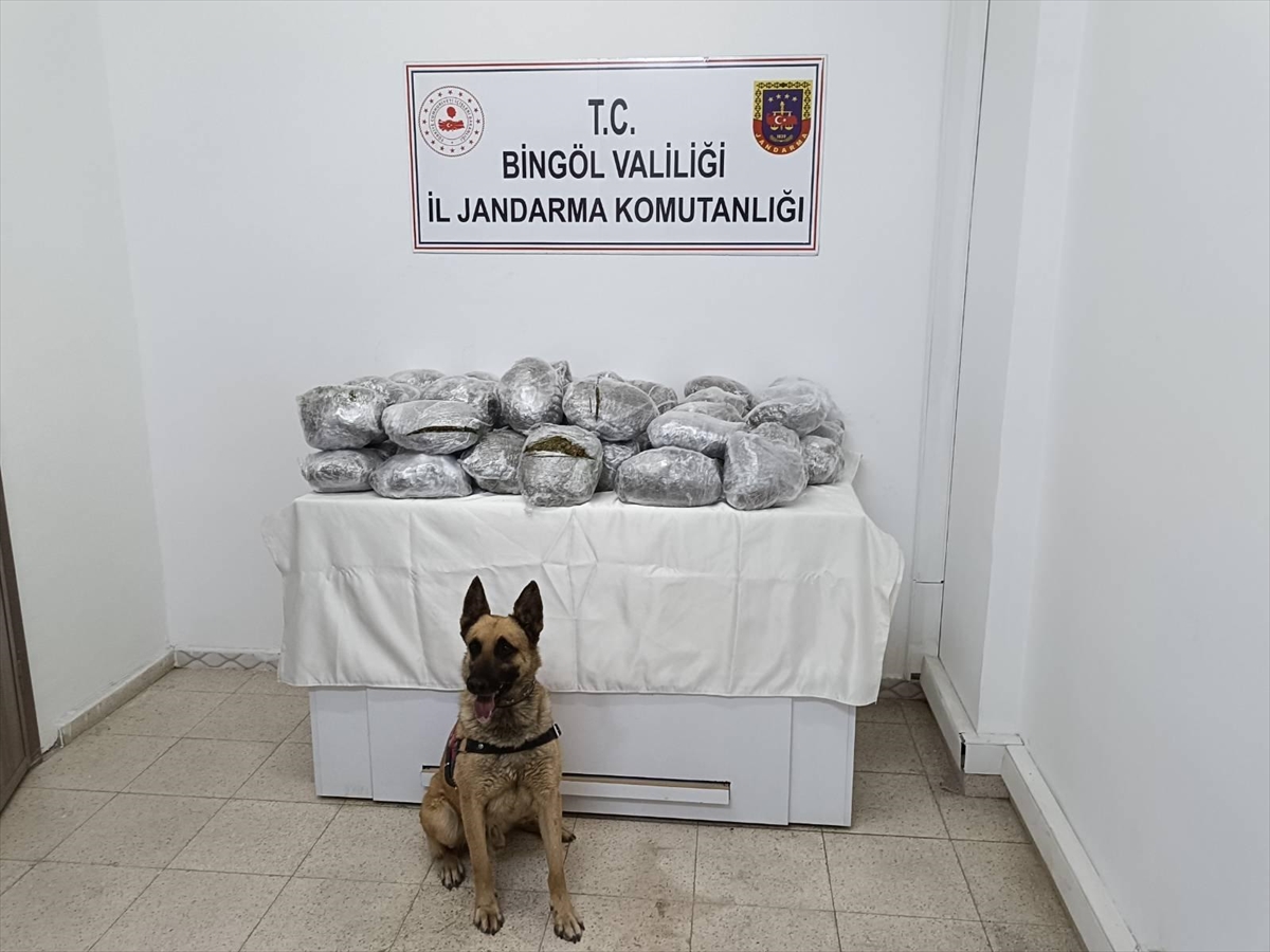 Bingöl'de 49 kilo 600 gram esrar ele geçirildi