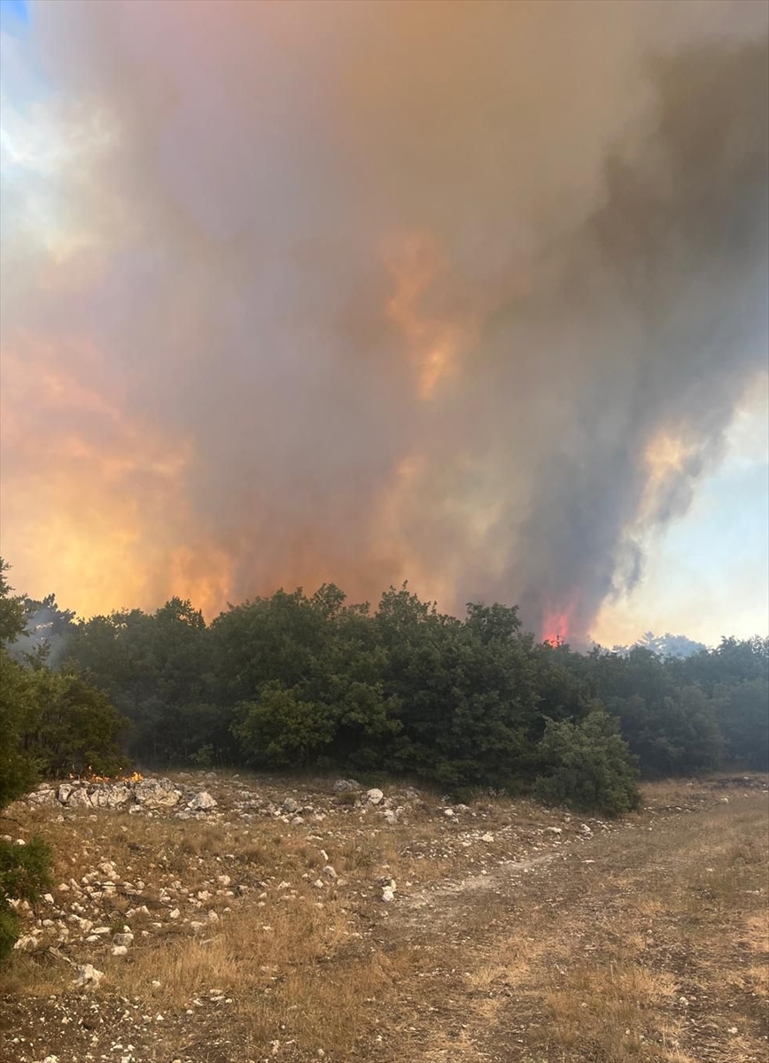 Eskişehir'de çıkan orman yangınına müdahale ediliyor