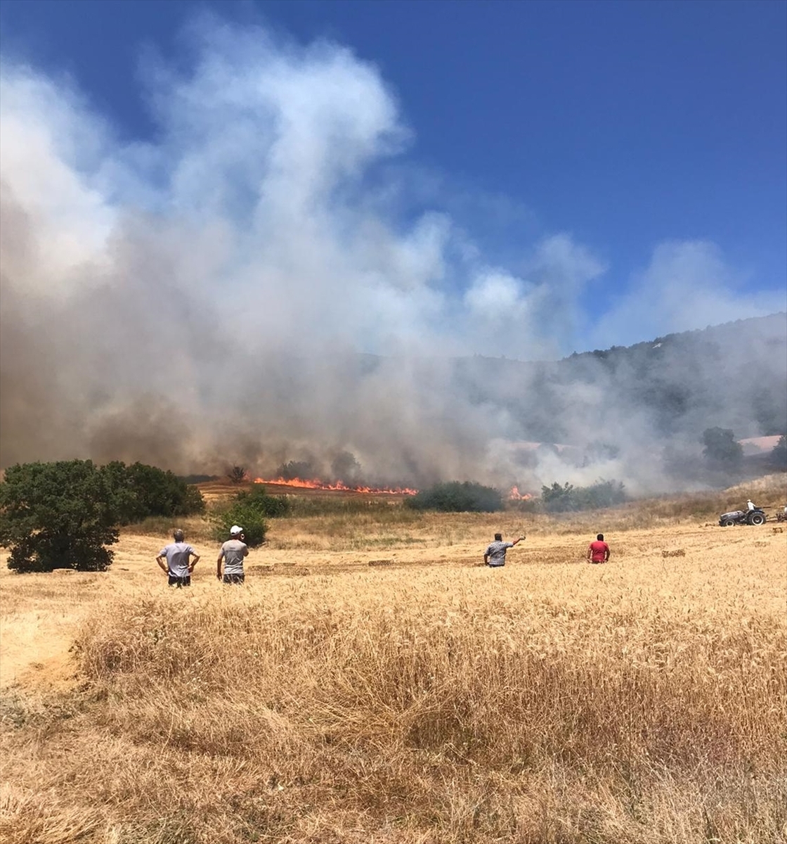 Bursa Yenişehir'de çıkan orman yangınına müdahale ediliyor