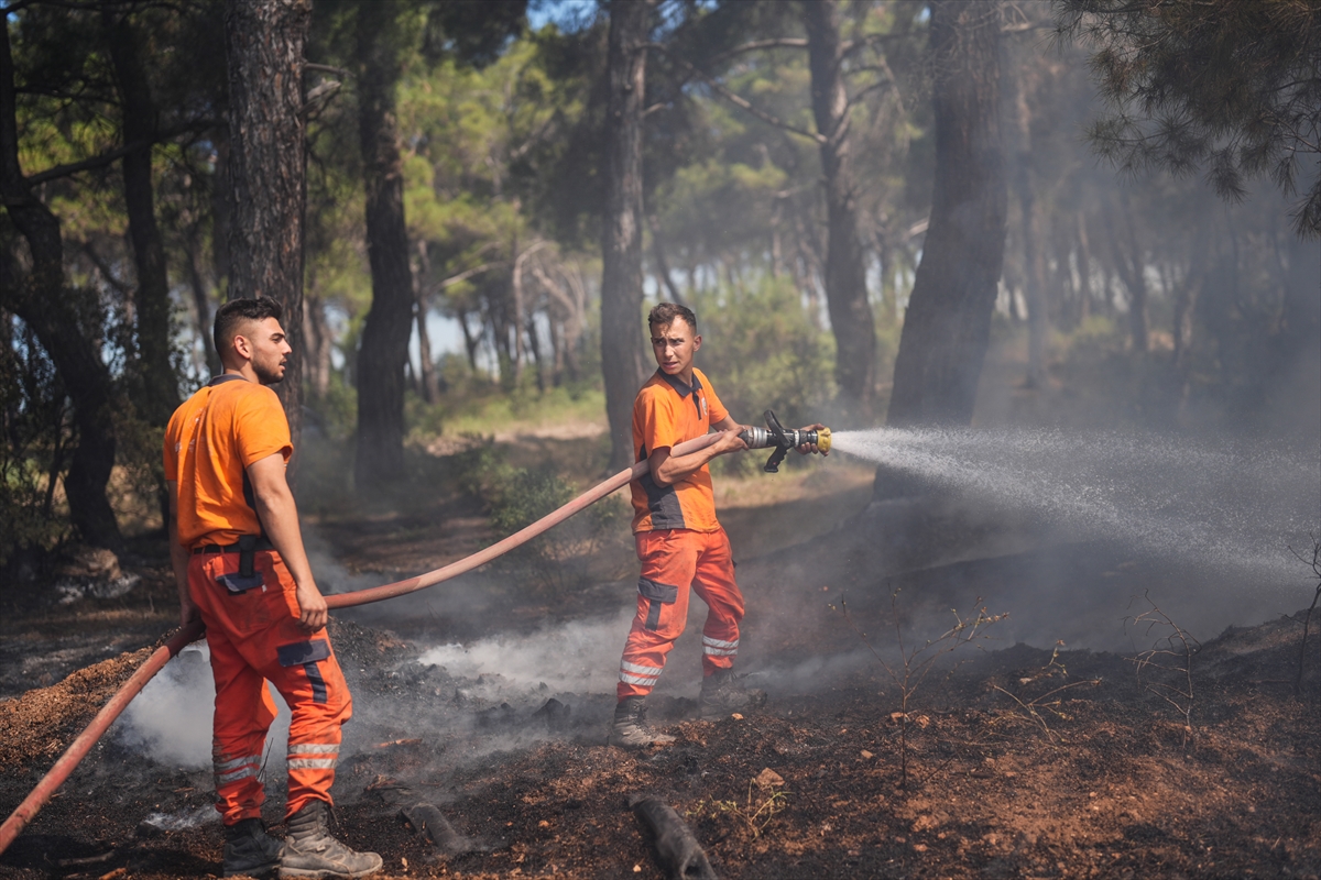 "Alev savaşçıları"ndan İzmir'deki ormanlar için yoğun mücadele
