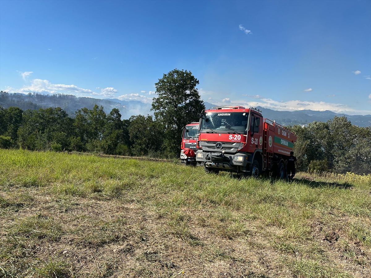 Kahramanmaraş'ta çıkan orman yangını söndürüldü