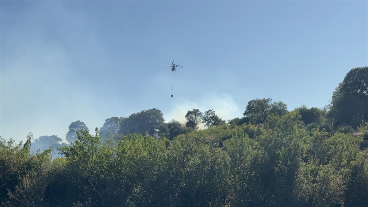 Çanakkale'de tarım alanında çıkan yangına müdahale ediliyor