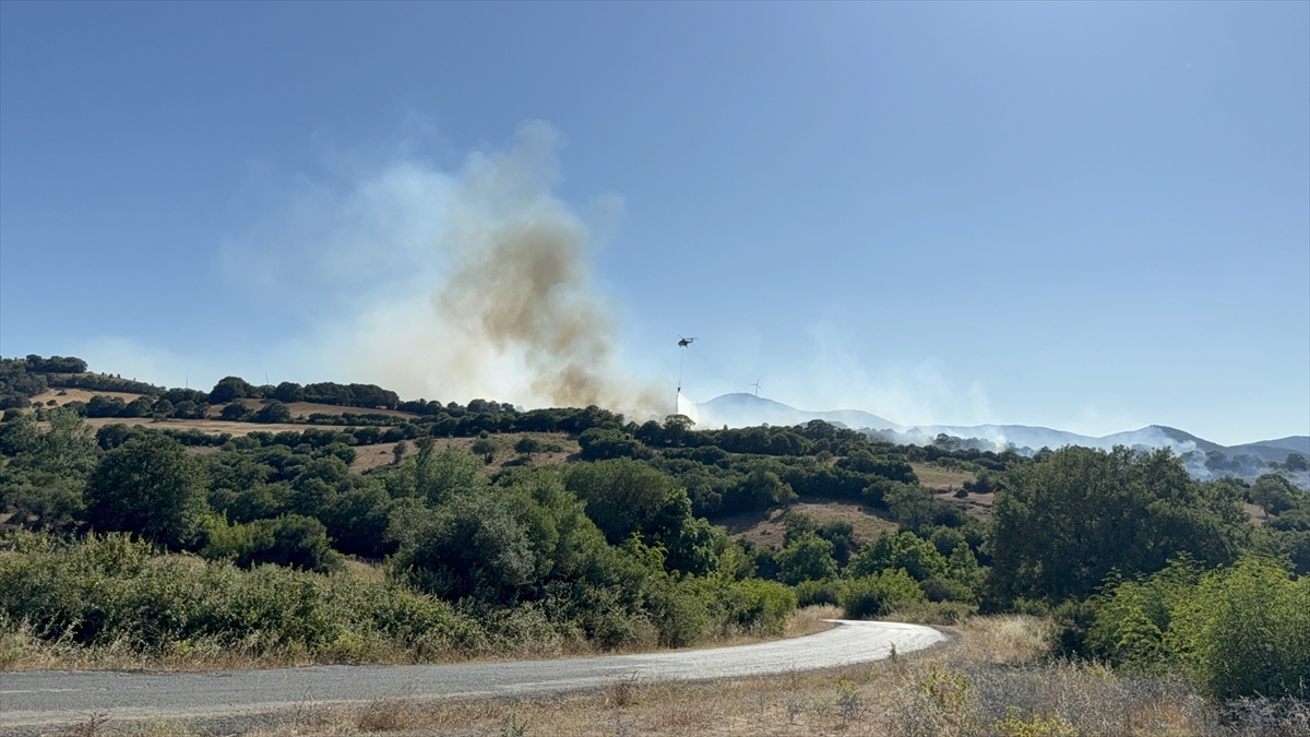 Çanakkale'de tarım alanında çıkan yangın kontrol altına alındı